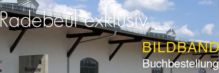 Foto Motivausschnitt historischer Gurterboden mit Schrift: Radebeul exklusiv Bildband Buchbestellung