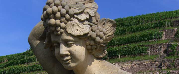 Foto Motivausschnitt Baccus Sandsteinfigur im Barockgarten Wackerbarth in Radebeul