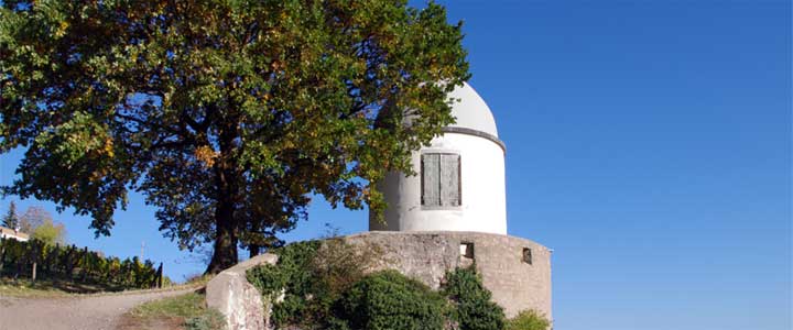 Foto Motivausschnitt Jacobstein in Radebeul
