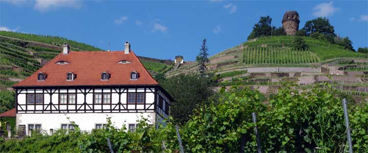 Foto Schloss Hofloessnitz mit Bismarckturm auf den Weinbergen in Radebeul