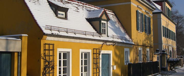 Foto Motivausschnitt Weingut im Winter in Radebeul