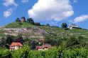 Bismarckturm und Spitzhaus auf den Weinbergen von Radebeul