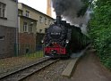 Volldampf im Lößnitzgrund