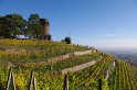 Der Bismarckturm auf den Weinbergen von Radebeul