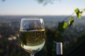 Radebeuler Wein lädt ein