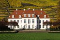 Schloss in der barocken Anlage Wackerbarths Ruhe in Radebeul