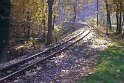Kurve vor dem Haltepunkt Friedewald der Lößnitzgrundbahn