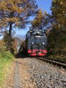 Die Lößnitzgrundbahn im Einschnitt am Dippelsdorfer Teich