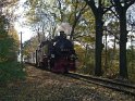 Die Lößnitzgrundbahn im Einschnitt am Dippelsdorfer Teich (2)
