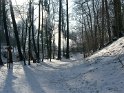 Fahrt der Lößnitzgrundbahn durch den Lößnitzgrund (2)