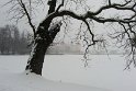 Barockschloss Moritzburg (3)