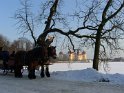 Barockschloss Moritzburg (4)